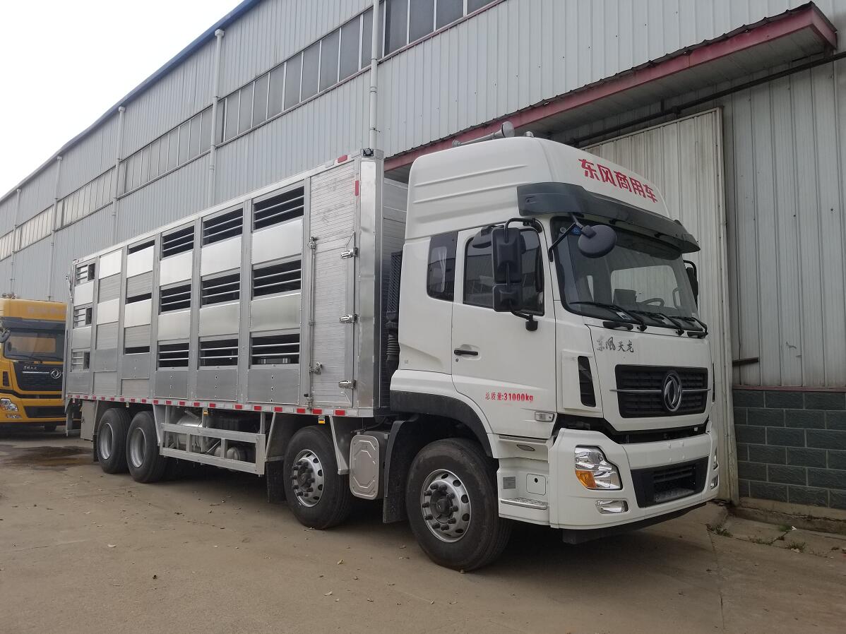 �\�i܇Ԕ����B-�\�i܇�ĽY���D-���i܇���a�S��-��������